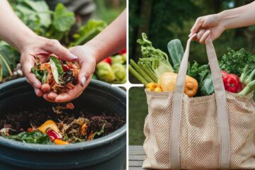 Top 5 Eco-Friendly Practices Every Home Cook Should Embrace